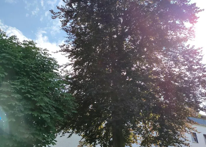 Marosa Appartamento *